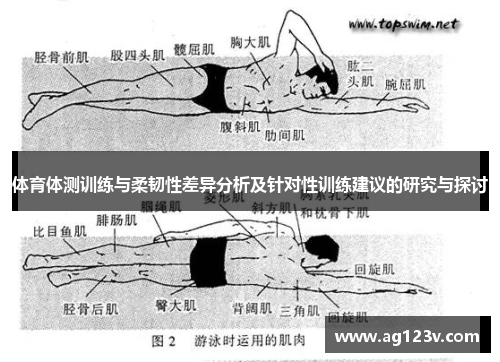体育体测训练与柔韧性差异分析及针对性训练建议的研究与探讨